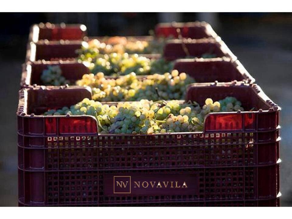 Enoturismo Novavila Rias Baixas Wine Design Meis Екстериор снимка
